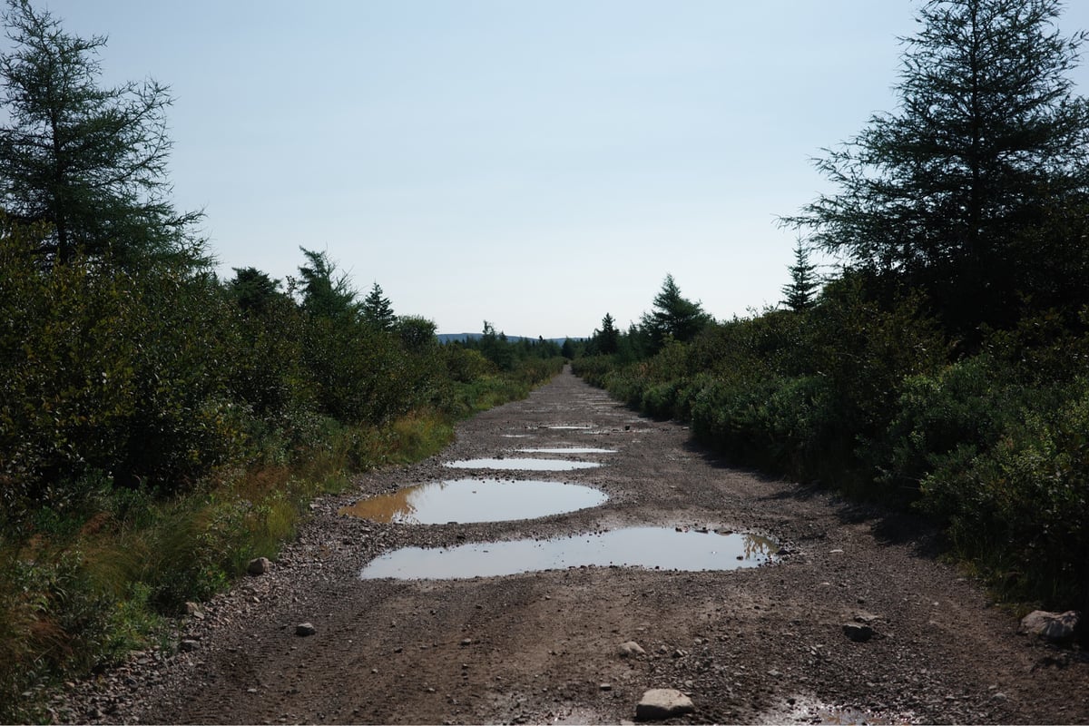 Charcos en el sendero, Canadá