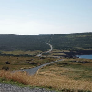 The Finish Line by Jeremy