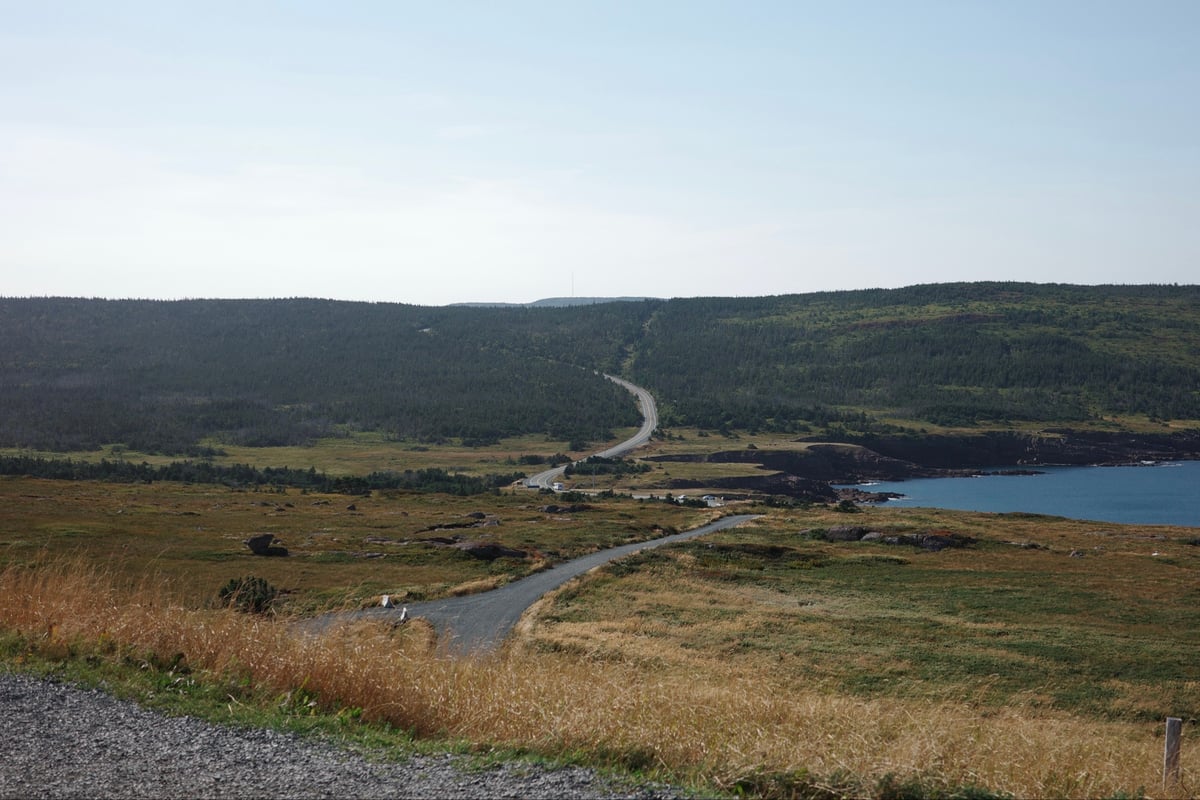 La ligne d'arrivée, Canada