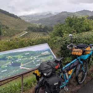 4 Sept 2025 - 10:10 by Lucy