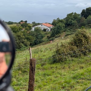 4 Sept 2025 - 11:16 by Lucy