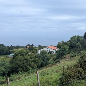 4 Sept 2025 - 11:16 by Lucy