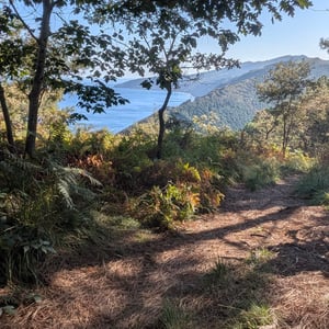 6 Sept 2025 - 10:14 by Lucy