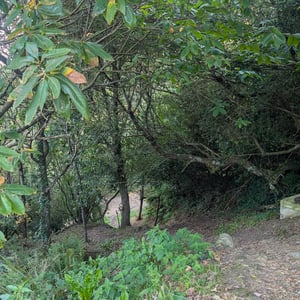 Coffee.... Needed! by Lucy