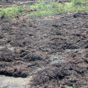 6 Sept 2025 - 13:21 by Lucy