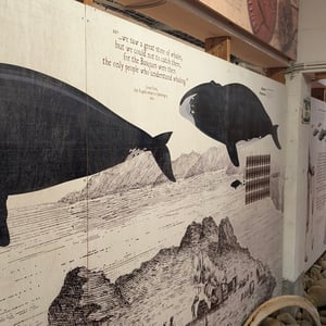 Arbaola Maritime Culture Factory by Lucy