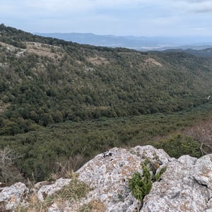Wild Horses And Beautiful Views by Lucy