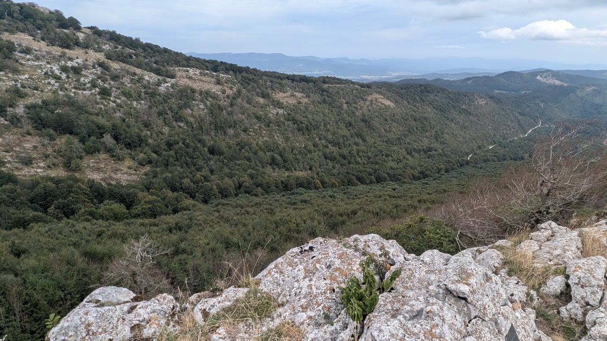 Wild Horses And Beautiful Views, Spain