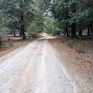 Peaceful Route by Lucy