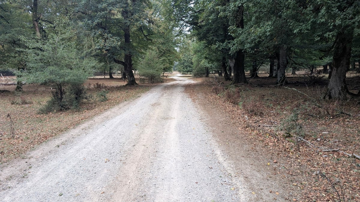 Peaceful Route, Spain