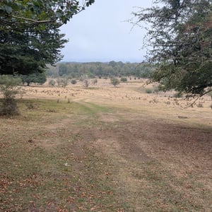 Peaceful Route by Lucy