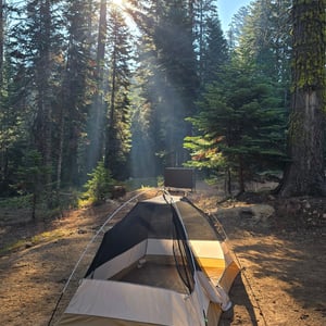 Yosemite National Park Crane Greek by David