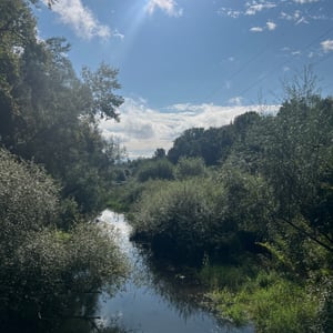 12 Sept 2025 - 10:18 by Je