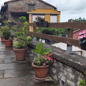 Riocorvo by Lucy