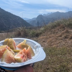 Foraged Fig Yoghurt by Lucy