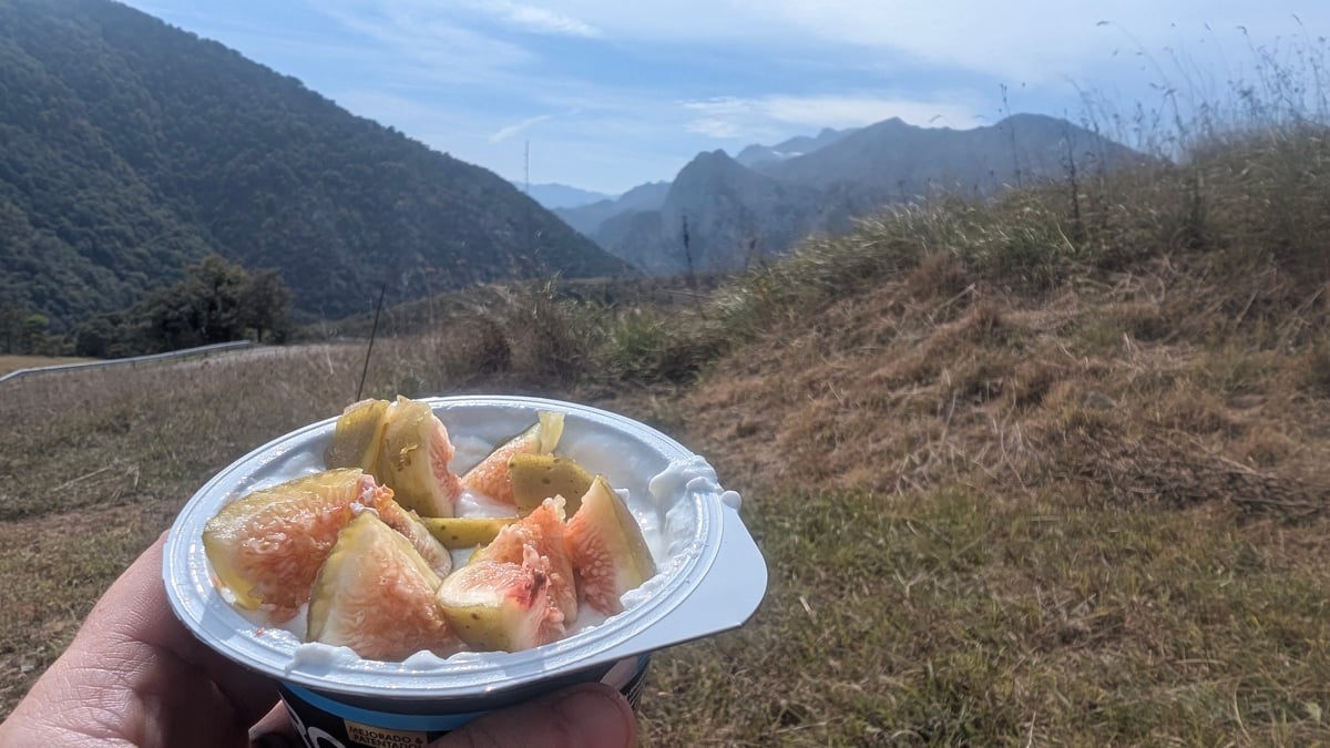 Foraged Fig Yoghurt, Spain