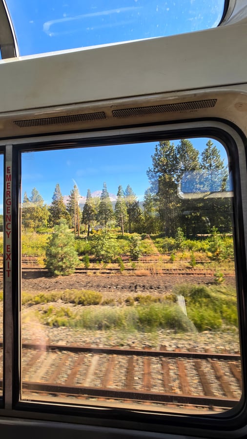CRUCE DE FRONTERA con el AMTRAK TARAIL, Estados Unidos