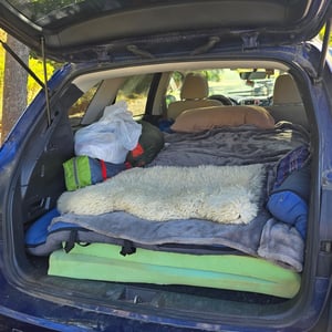 Backcountry 1. Night - Washington by David