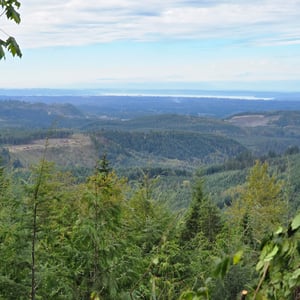 Backcountry 1. Night - Washington by David