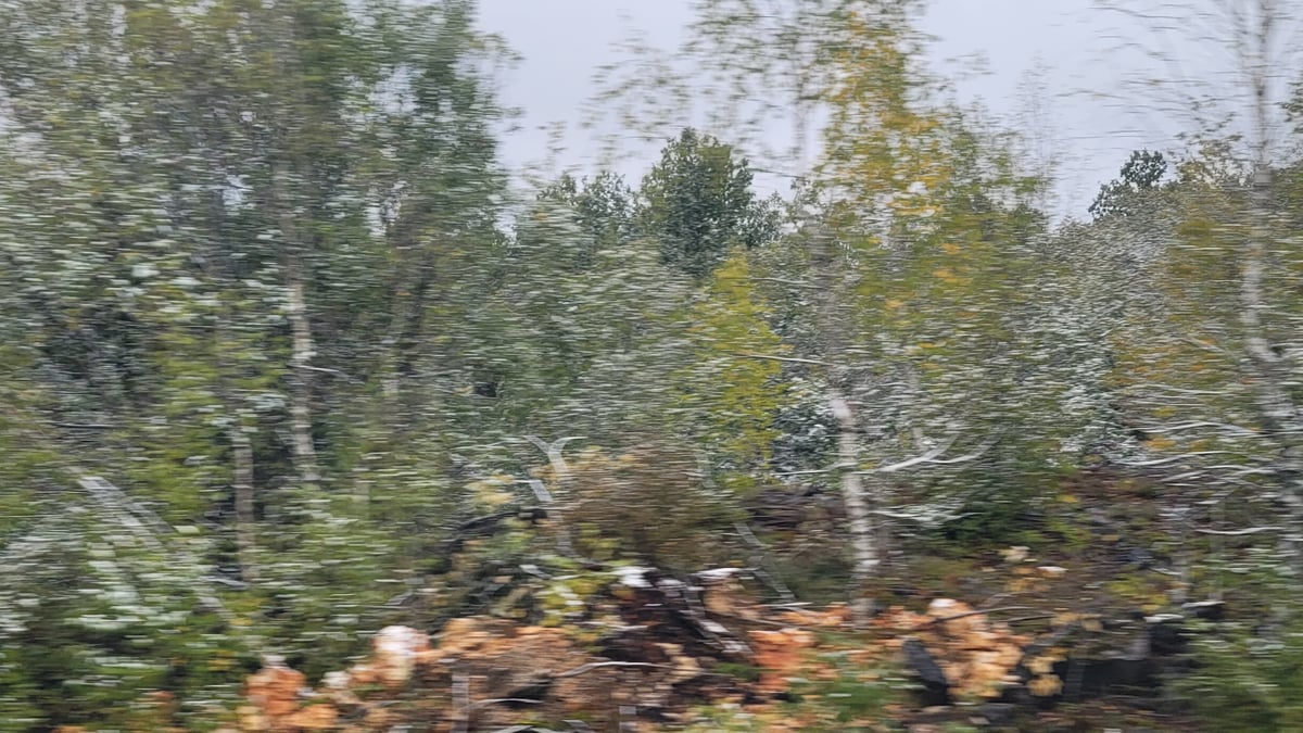 Snow on the way, Montenegro