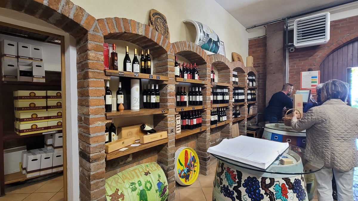 Vineyard in Kutjevo, Croatia