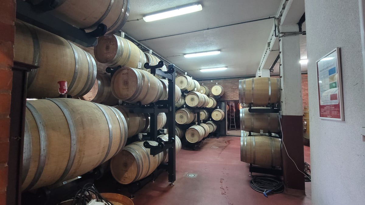 Weinberg in Kutjevo, Kroatien