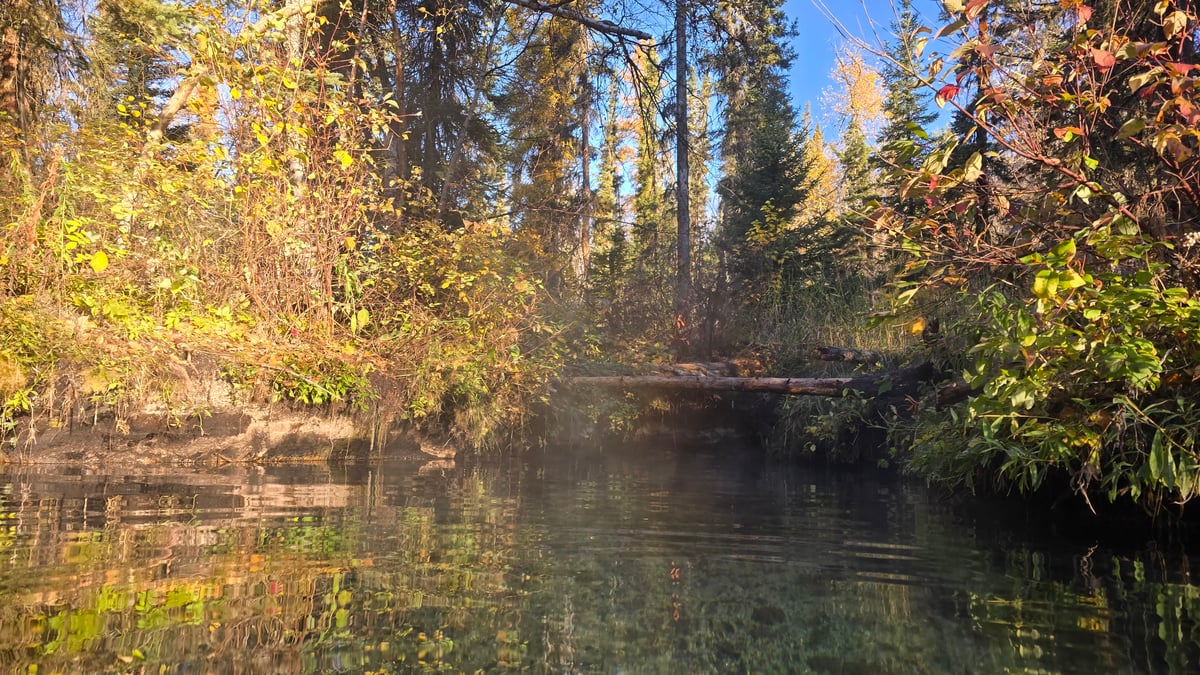 Mentiroso CALIENTE 🔥 Springs., Canadá
