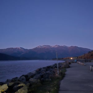 Pull Out Sleep With A View by David