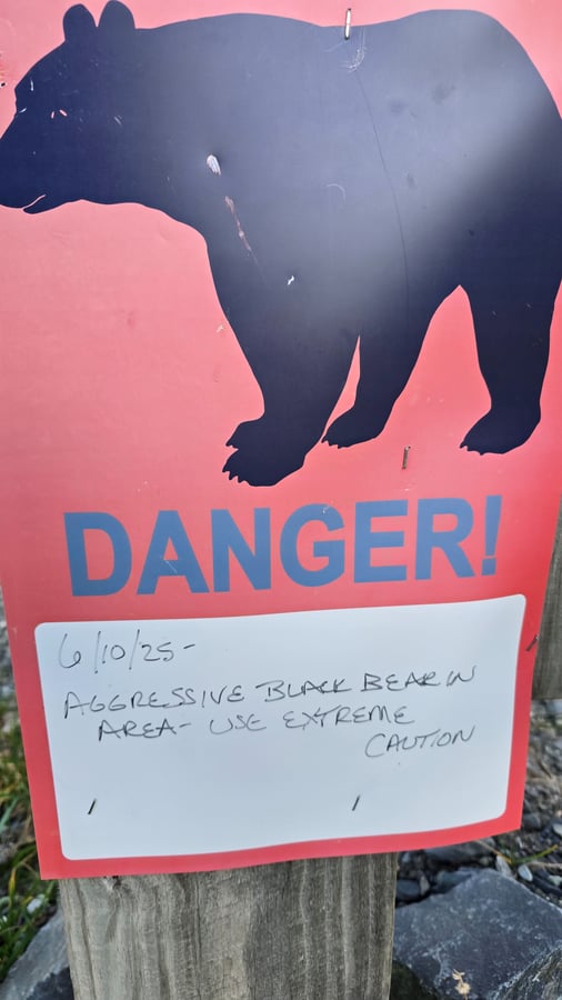 Ghiacciai dell'ALASKA ❤️, Stati Uniti