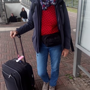 continue by train by Boris