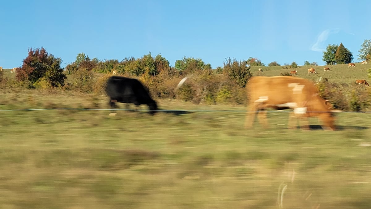 Paesaggio lungo il percorso, Croazia