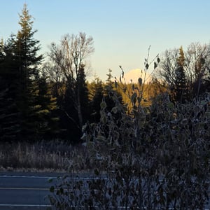 Sledding At Dawn by David