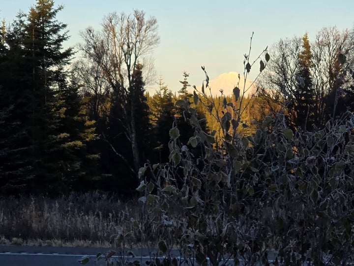 Sledding At Dawn, Verenigde Staten