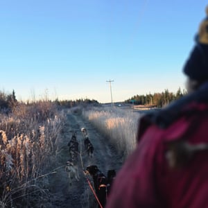 Sledding At Dawn by David