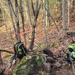 23 Oct 2025 - 16:48 by Nancy