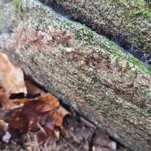 23 Oct 2025 - 16:48 by Nancy