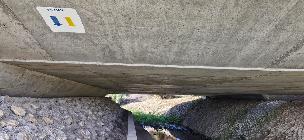 Was für ein Wesen muss hier leben?, Portugal