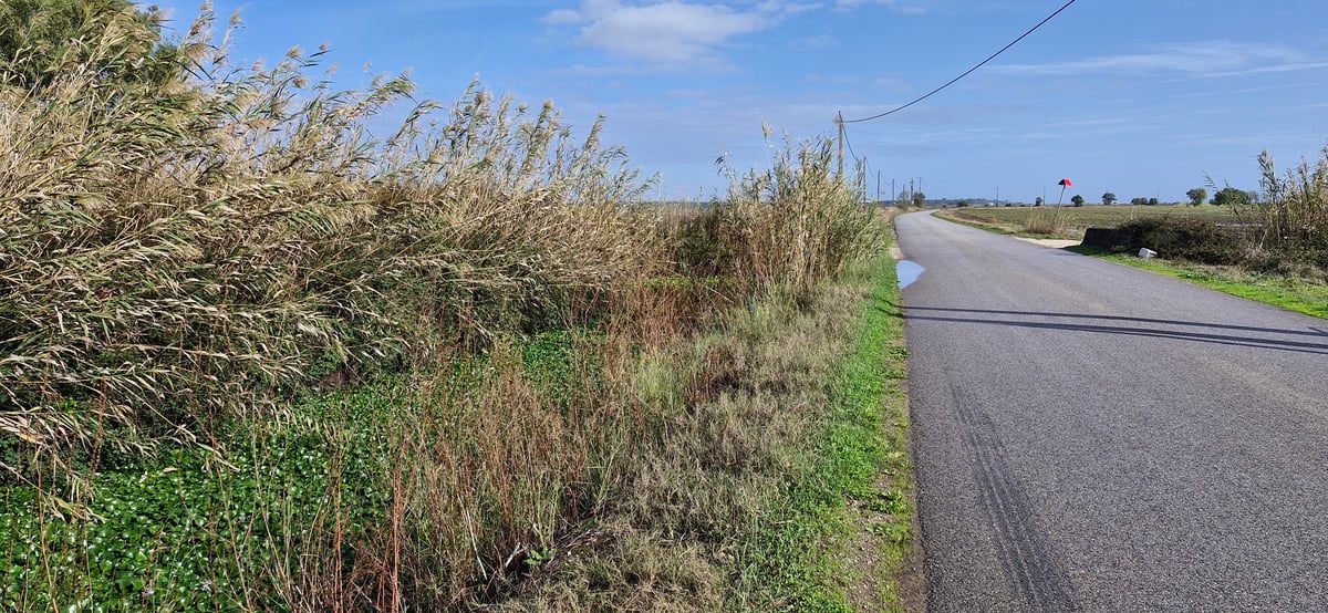 Farm Land And Roads, Portugal