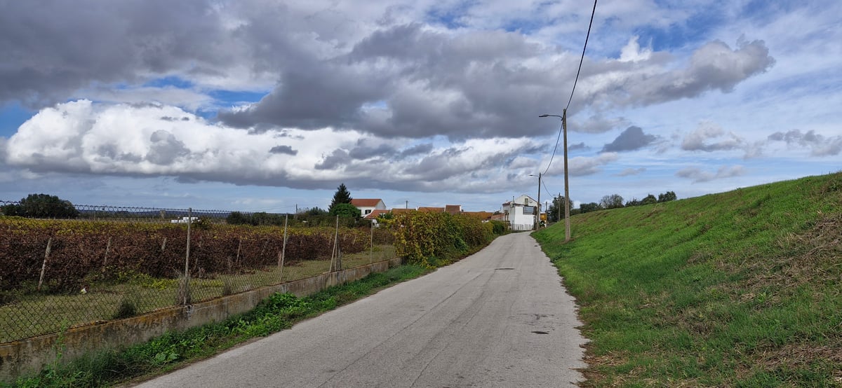 A Few Vineyards Starting To Be Seen, Portugal