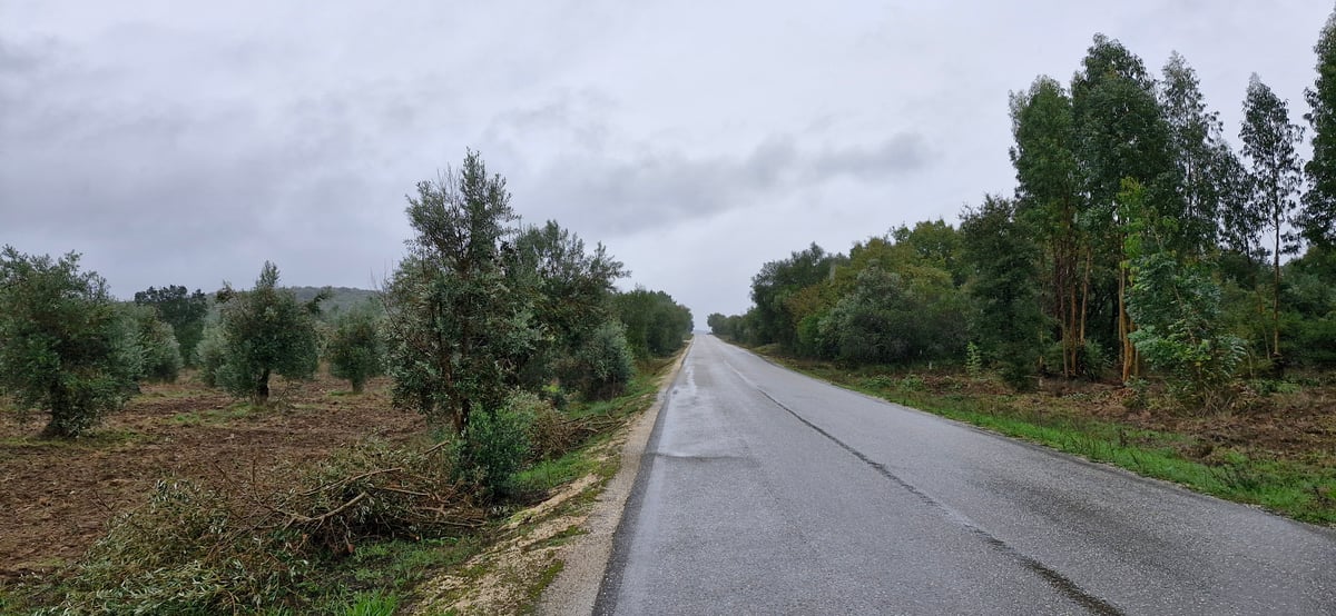 Camminare sotto la pioggia, Portogallo