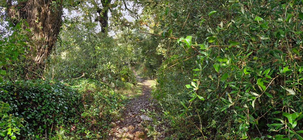 Some Lovely Paths, Portugal