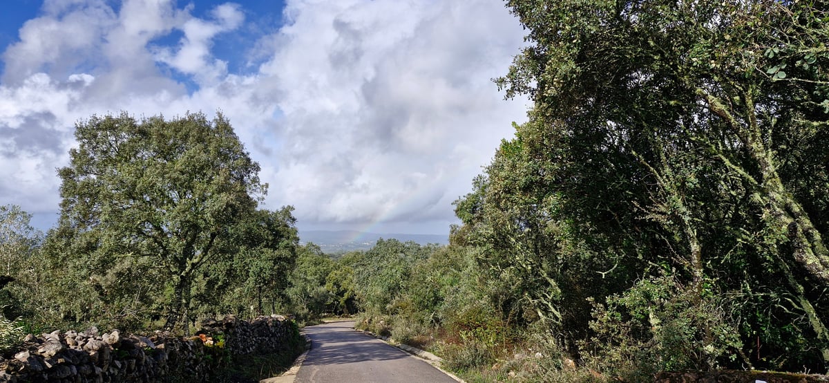 Showers And Rainbows, Portugal