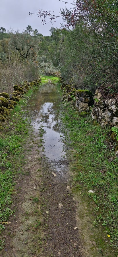 Niente pioggia... ma il sentiero era molto bagnato, Portogallo