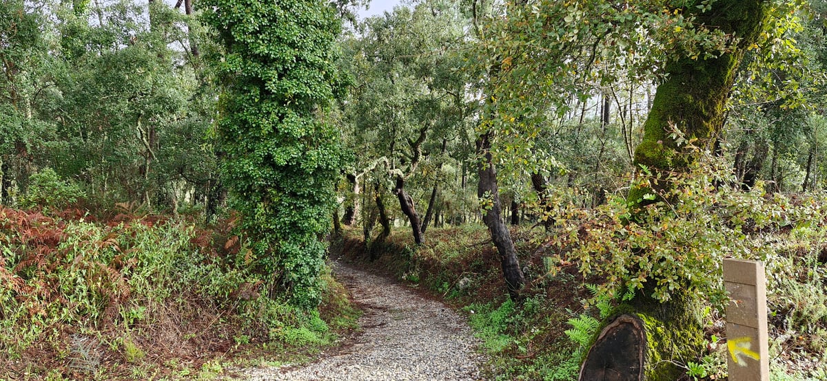 Altri bei percorsi, Portogallo