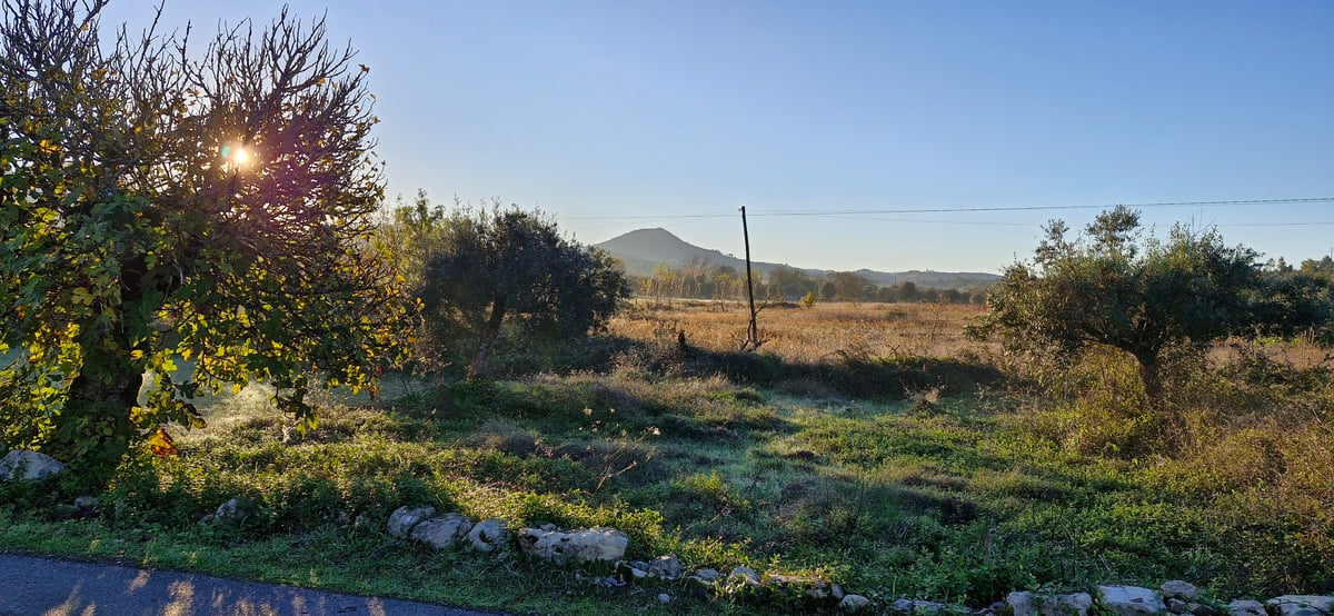 Condizioni perfette questa mattina, Portogallo
