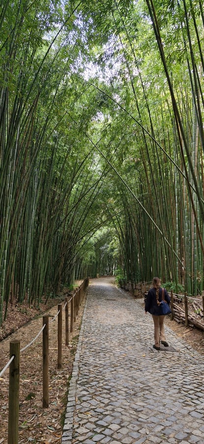 Botanische Gärten, Portugal