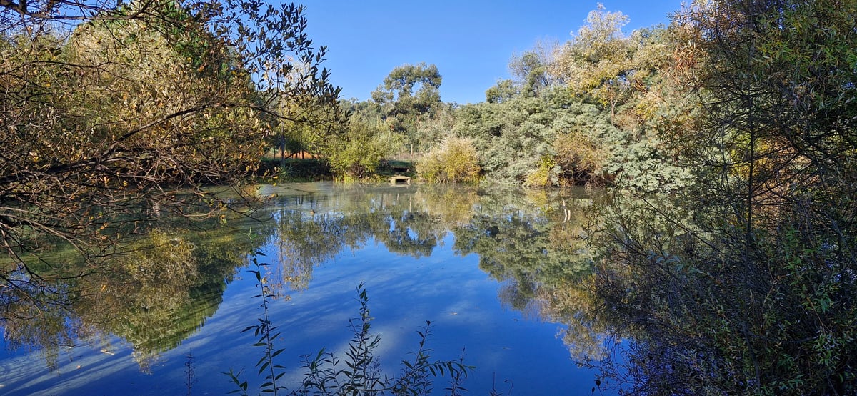Riflessioni, Portogallo