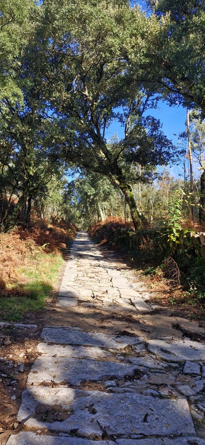 Bel tratto di sentiero romano, Portogallo