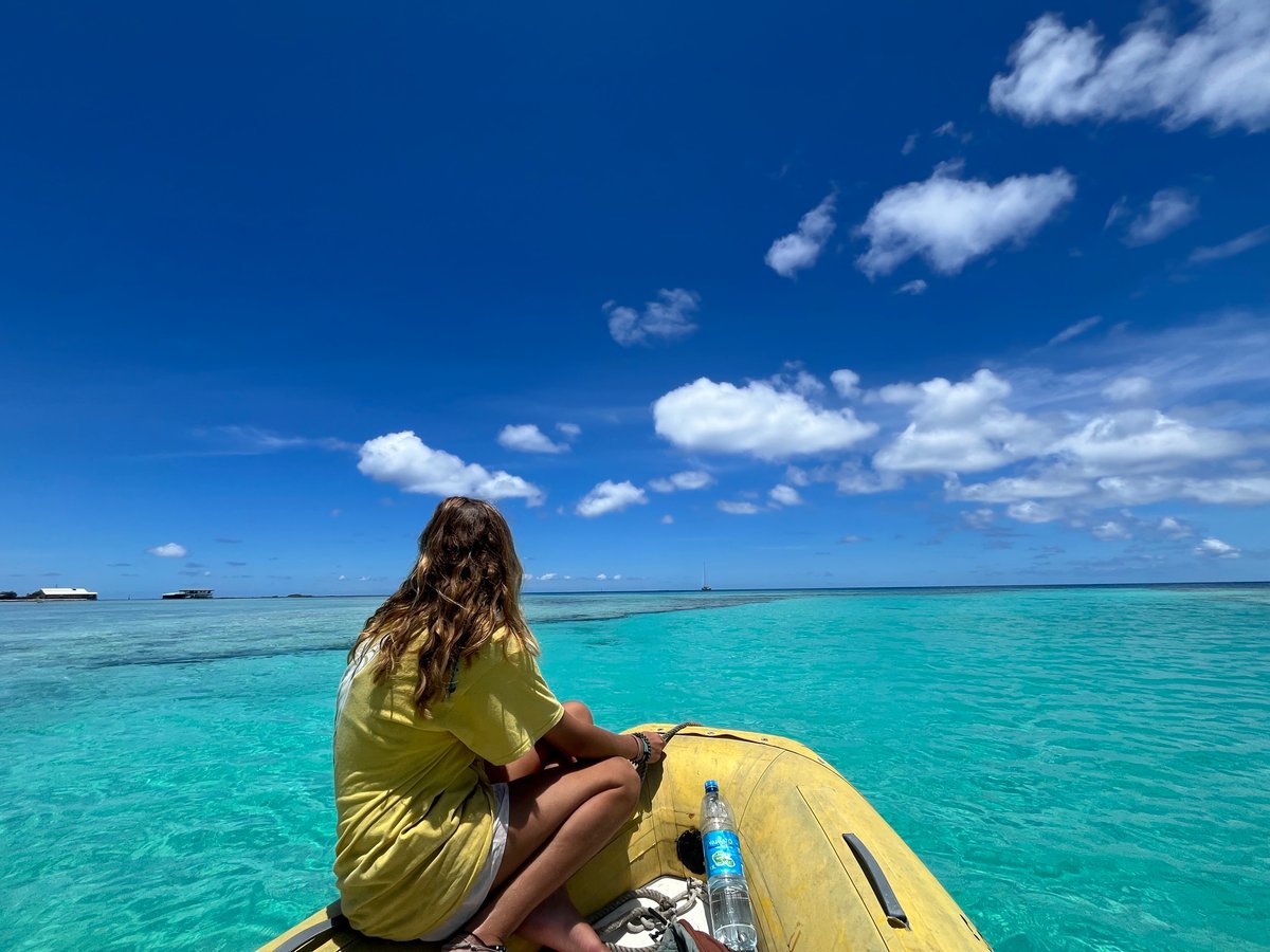 Navigando alle Tuamotu | Di nuovo all'ancora