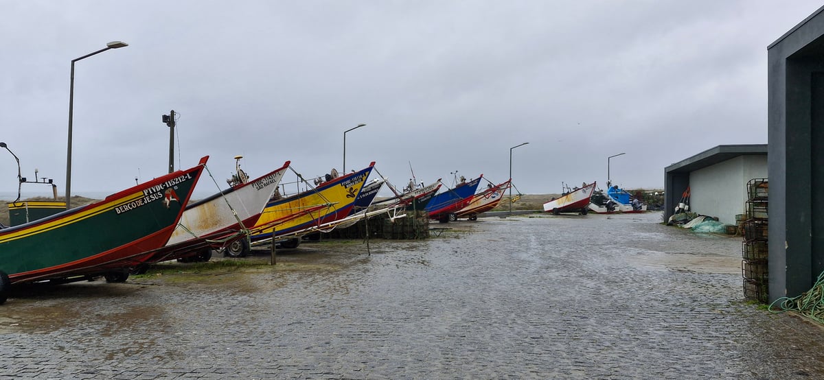 La pioggia mi ha sconfitto..., Portogallo